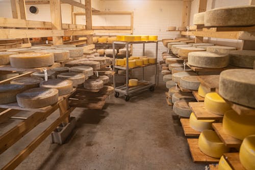 乳酪, 保管, 倉庫 的 免費圖庫相片