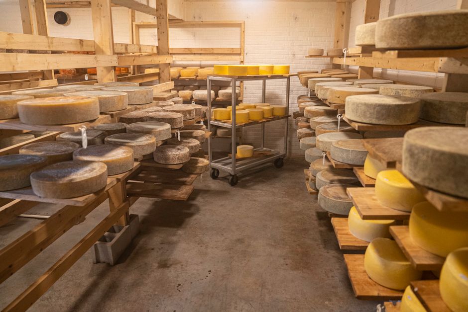 Quesos artesanales de leche cruda en proceso de maduración en bodega tradicional