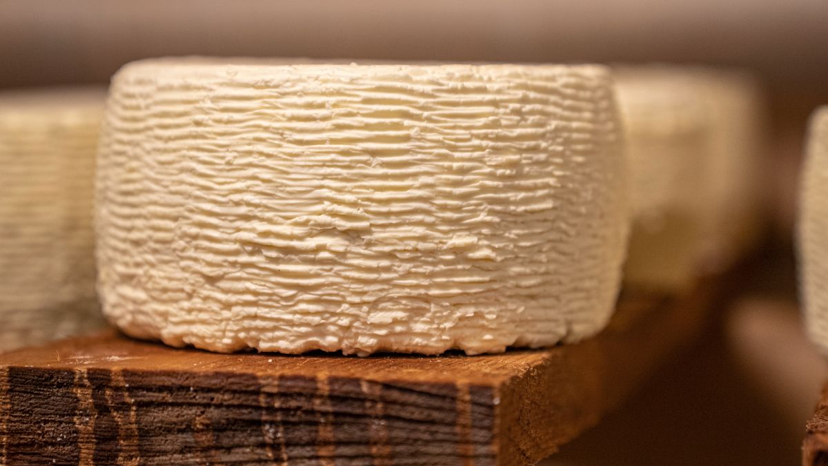 Gastronomie locale : les fromages de chèvre des Cévennes à découvrir en 2026 - illustration