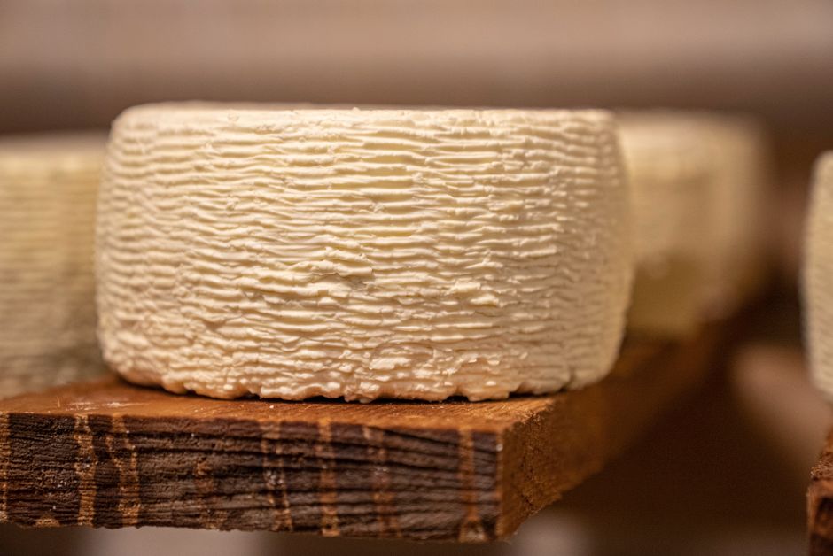 Queso de leche cruda francés cortado en lonchas, mostrando su textura característica sobre una tabla de madera rústica