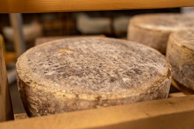 Aged cheese wheels resting on cellar shelves. Photo by Mark Stebnicki on Pexels