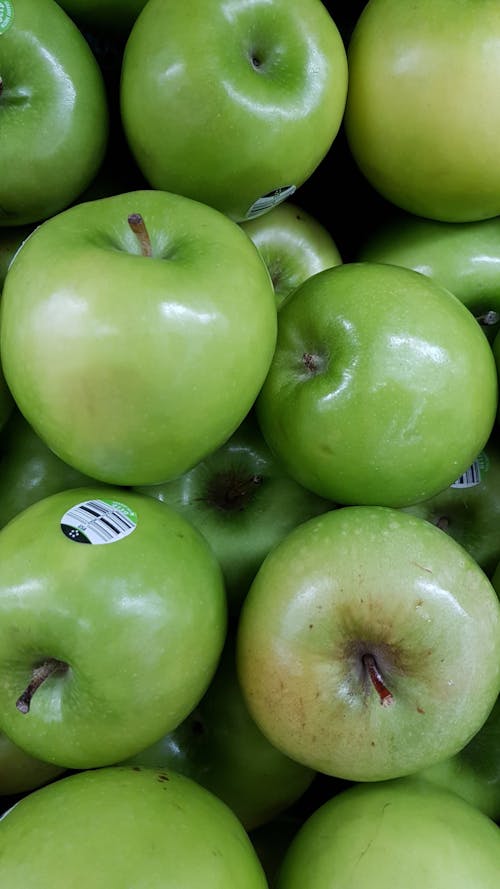Free stock photo of apple, fruits