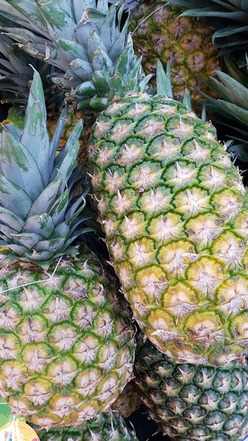 Free stock photo of pineapple