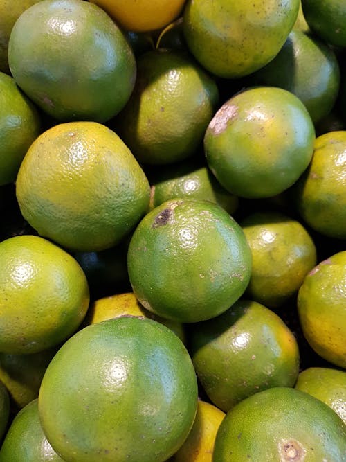 Free stock photo of fruits, green, oranges