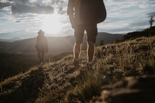 Fotos de stock gratuitas de al aire libre, caminando, césped