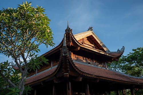 Foto profissional grátis de arquitetura, árvores, budismo