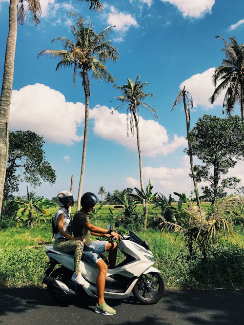 People Sitting on a Motorbike Near Coconut Trees