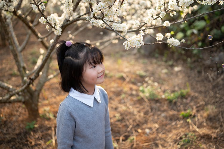 Cute Little Girl Under A Cherry Blossom 