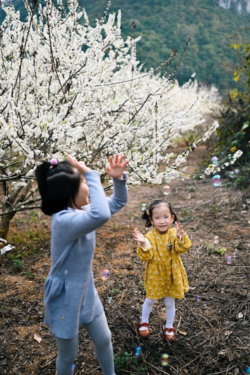 Безкоштовне стокове фото на тему «Азіатські дівчата, бульбашки, вертикальні постріл»