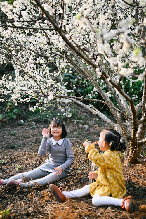 Free Girls Playing Under the Tree Stock Photo