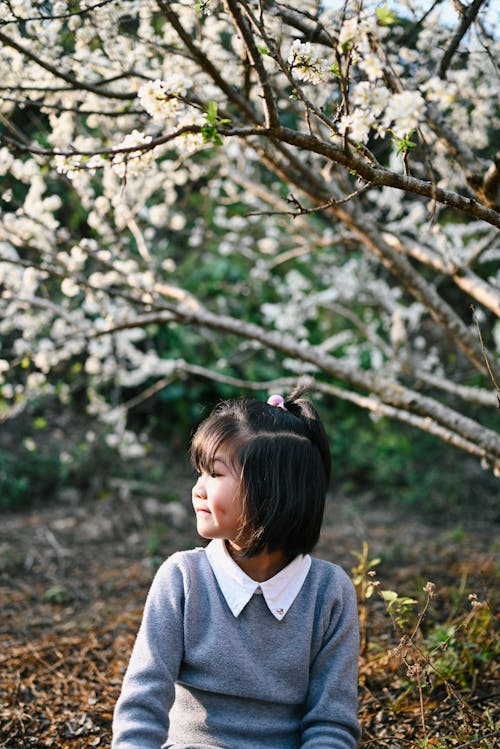 亞洲女孩, 兒童, 分支機構 的 免費圖庫相片