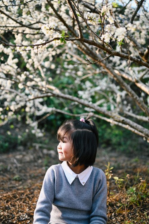 A Girl in Gray and White Sweater Standing Under a Cherry Blossom Tree ...