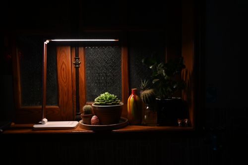 Free Warmly lit indoor garden with potted plants and lamp on a wooden window sill. Stock Photo