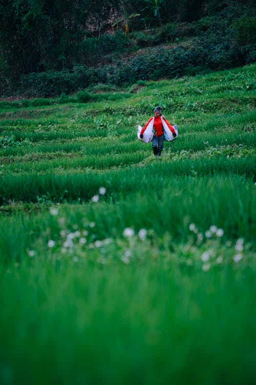 Základová fotografie zdarma na téma chůze, farmář, hřiště