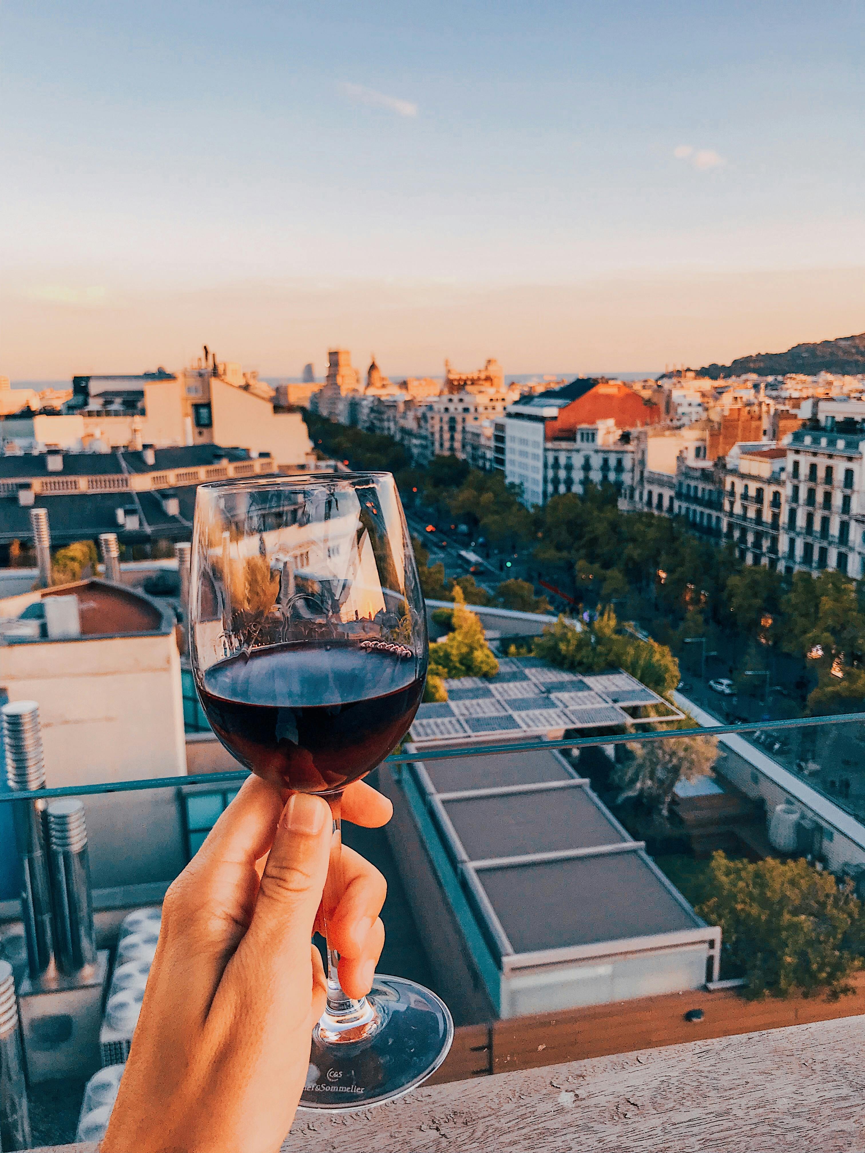 person holding wine glass overlooking the city