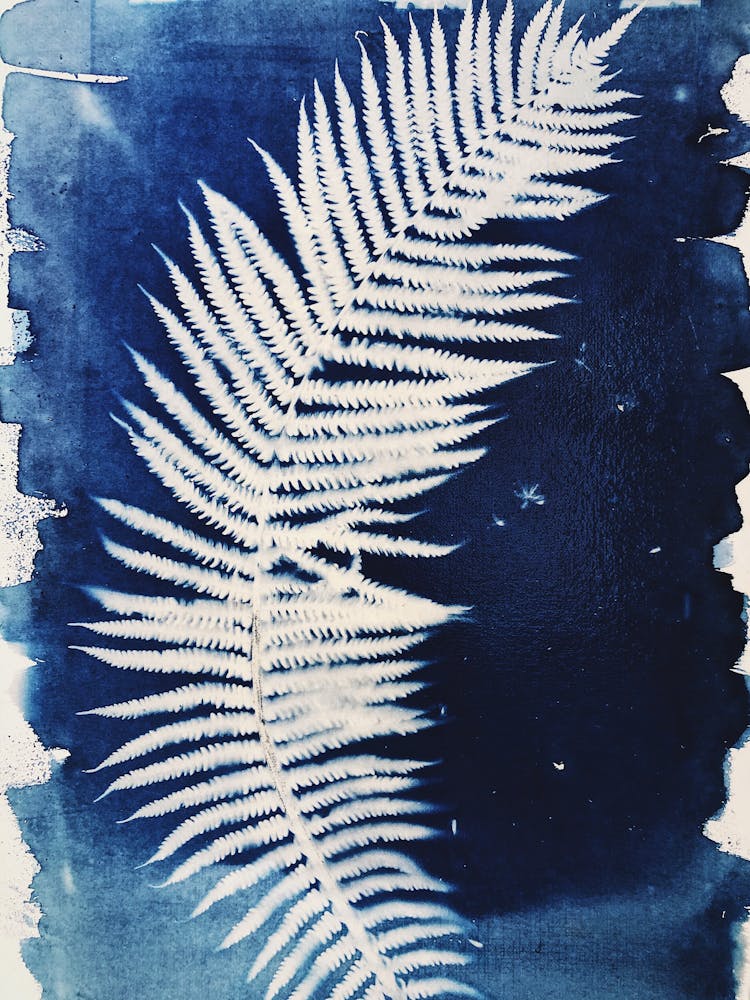 Fern Leaves Painting