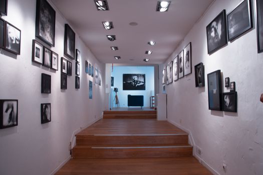 Ottawa Art Gallery Celebrates Spring with New Exhibitions Across Three Floors