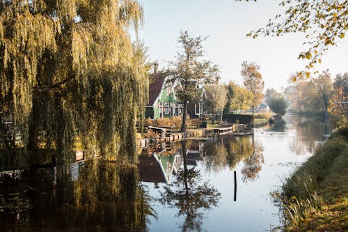 Darmowe zdjęcie z galerii z amsterdam, domy, drzewa