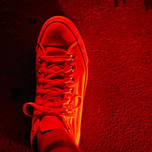 Free stock photo of converse, converse all star, neon background Stock Photo