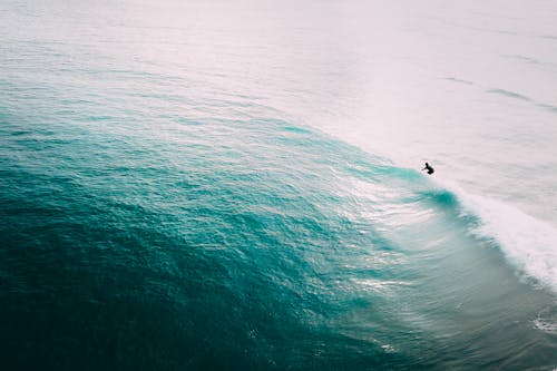 Free An Aerial Photography of a Person Surfing on Sea Waves Stock Photo
