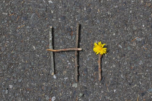 Branches and a Flower Spelling Hi on a Textured Surface