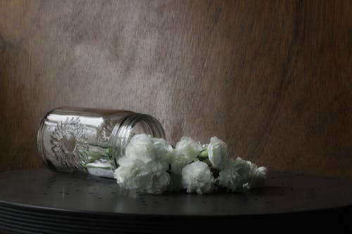 Foto profissional grátis de cair, flores brancas, mesa