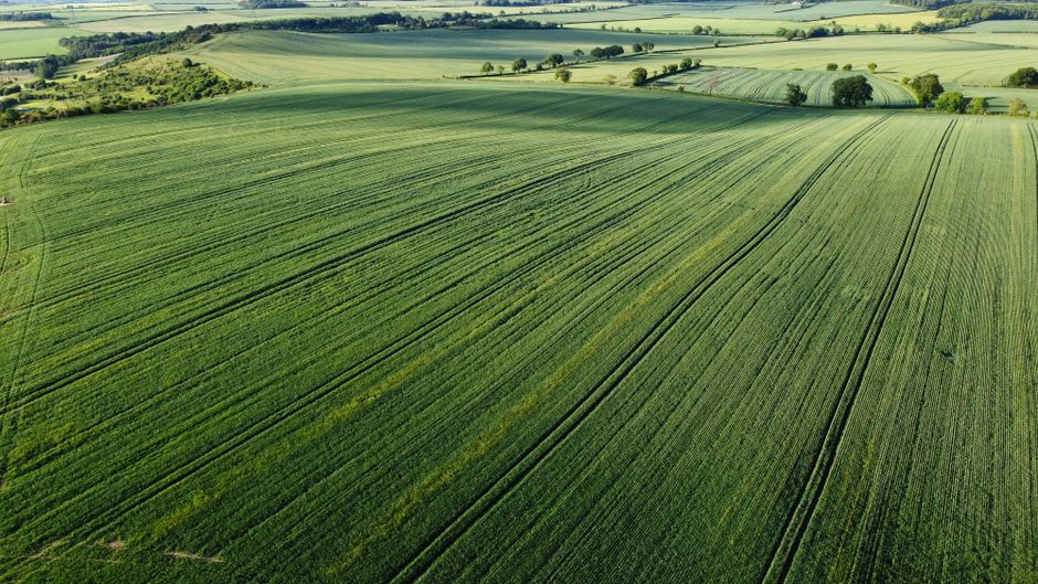 Fotomural Vista aérea capturada por dron de tierras de cultivo verdes y exuberantes en Bedfordshire Central, Inglaterra.