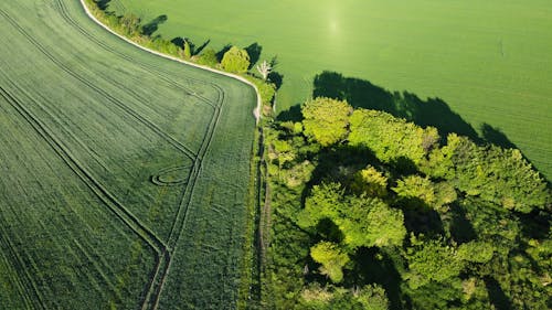 arazi, çiftlik alanı, drone çekimi içeren Ücretsiz stok fotoğraf