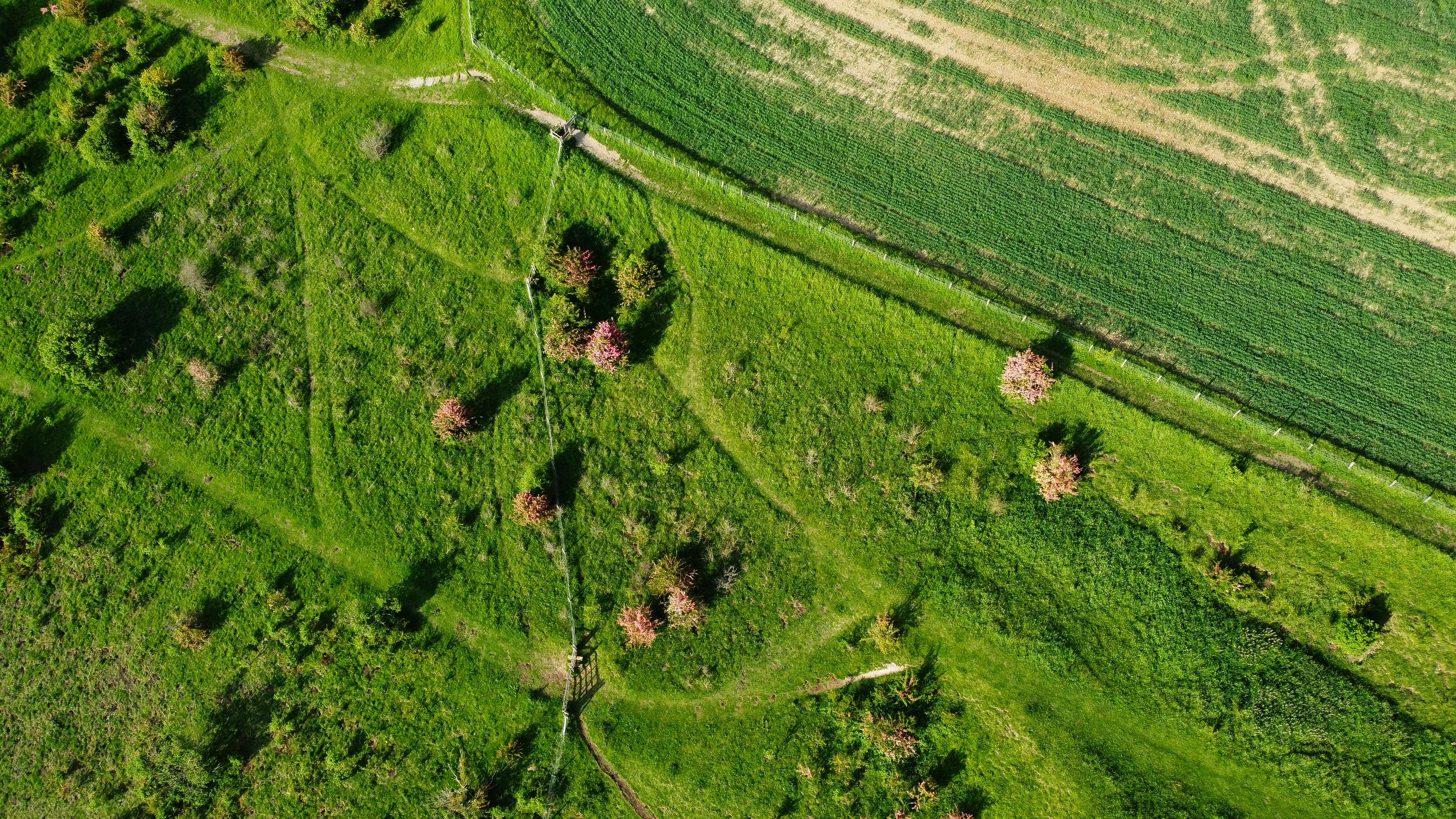 The green mile: charting the bumpy road to sustainable urban mobility — Photo by Altaf Shah on Pexels