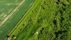 Top View Shot of Wide Green Field