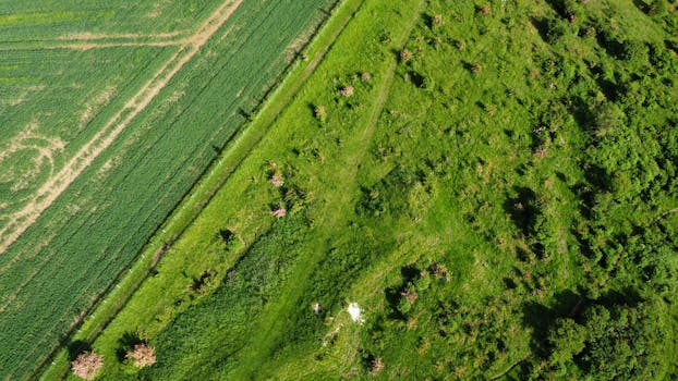 A vibrant aerial view of agricultural fields in Central Bedfordshire, England, showcasing lush greenery.
