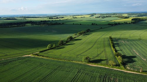 农田, 景觀, 無人空拍機 的 免费素材图片