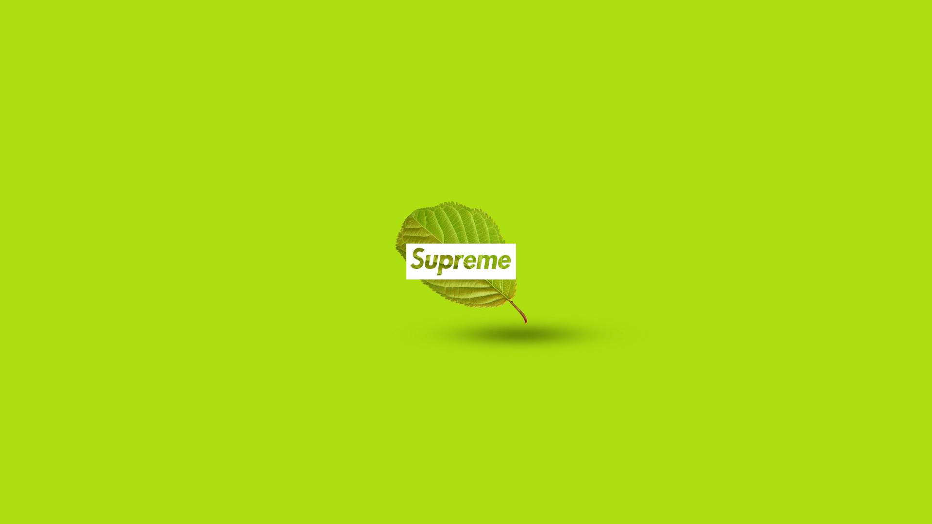 Supreme, Logo, Background Wallpaper Download