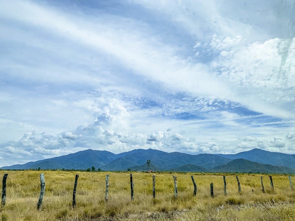 Fiber optic cable and data transmission technology