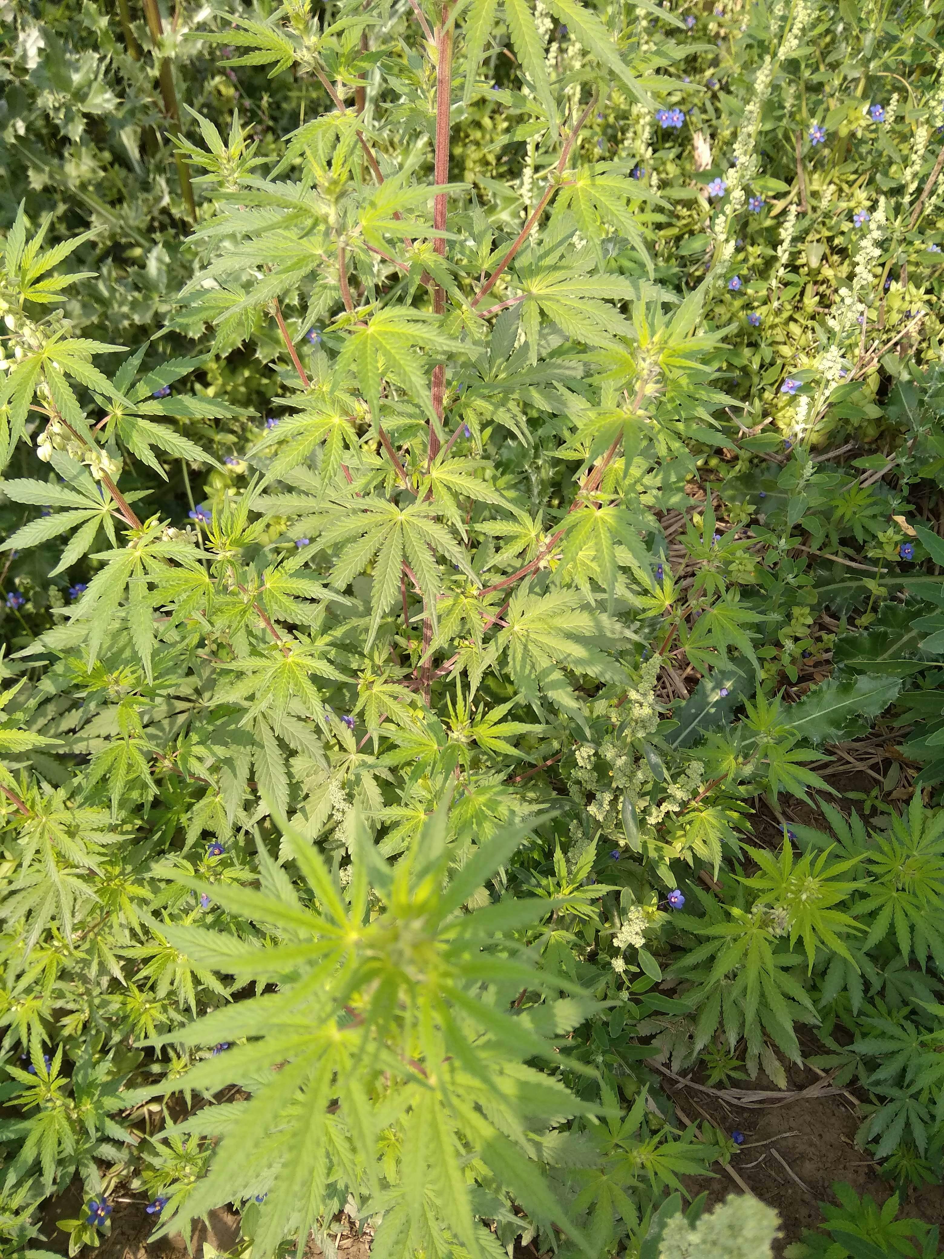 Digital property intelligence dashboard used in modern mortgage decisions