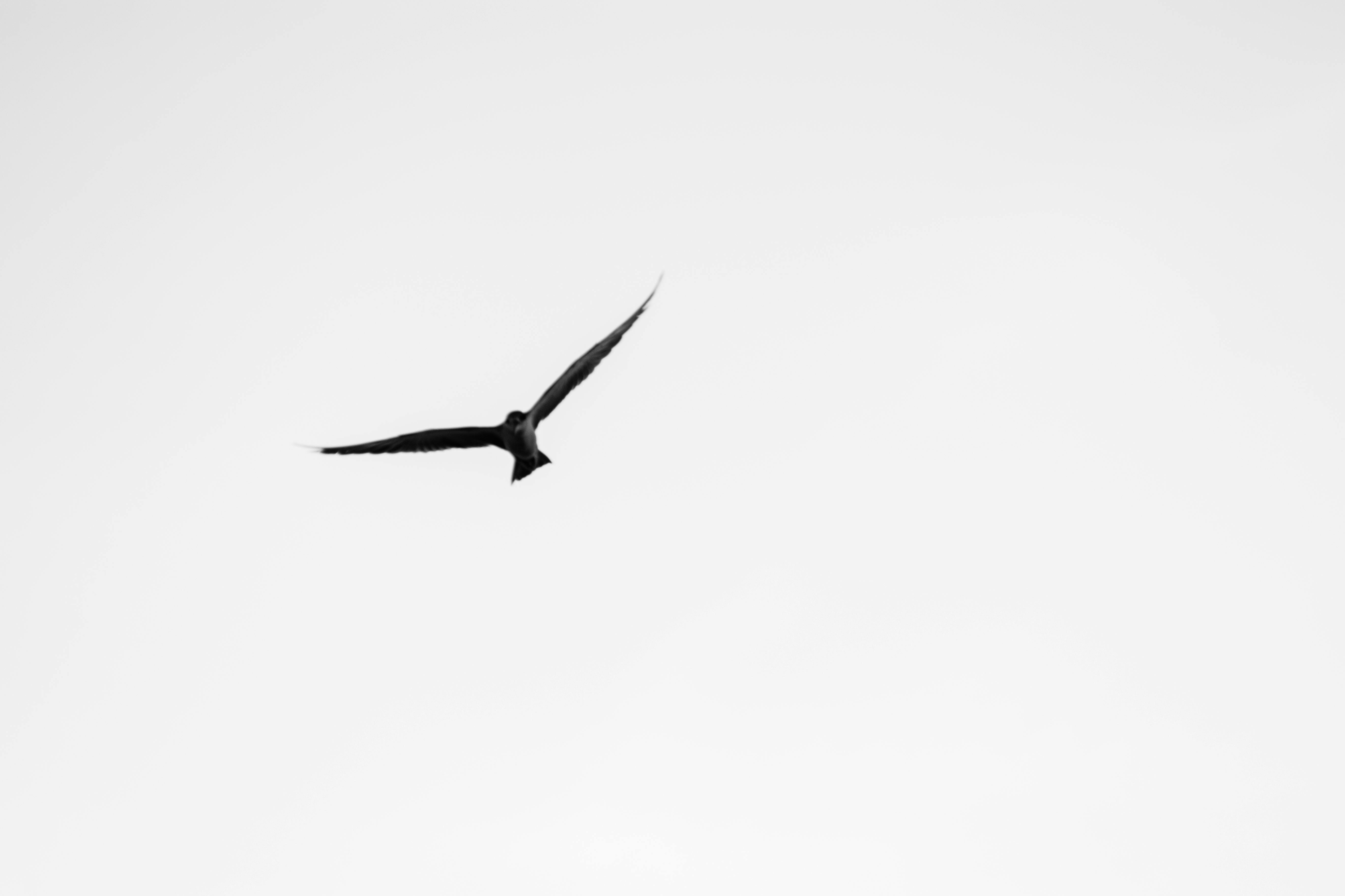 Man eating a simple healthy breakfast while working at a laptop