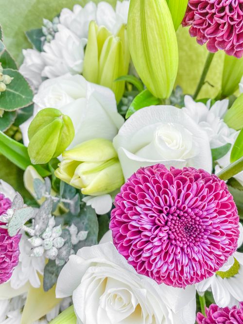 Free Close-up of a colorful bouquet featuring white roses and pink dahlias. Stock Photo
