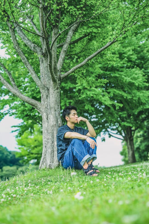 A Man Sitting on Grass  Under a Tree