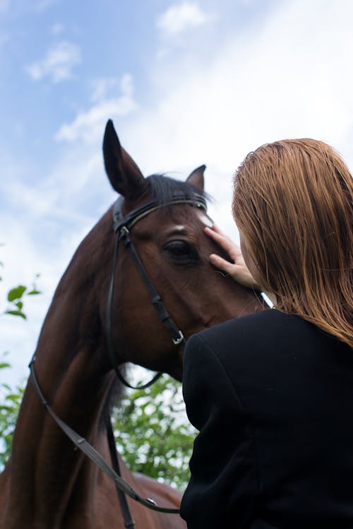 Aşk, at, dikey atış içeren Ücretsiz stok fotoğraf