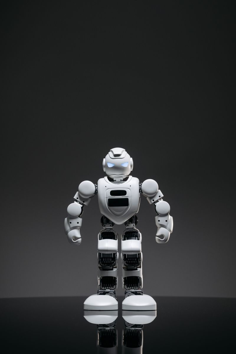 Nim standing at full height, front view — photo by Pavel Danilyuk on Pexels