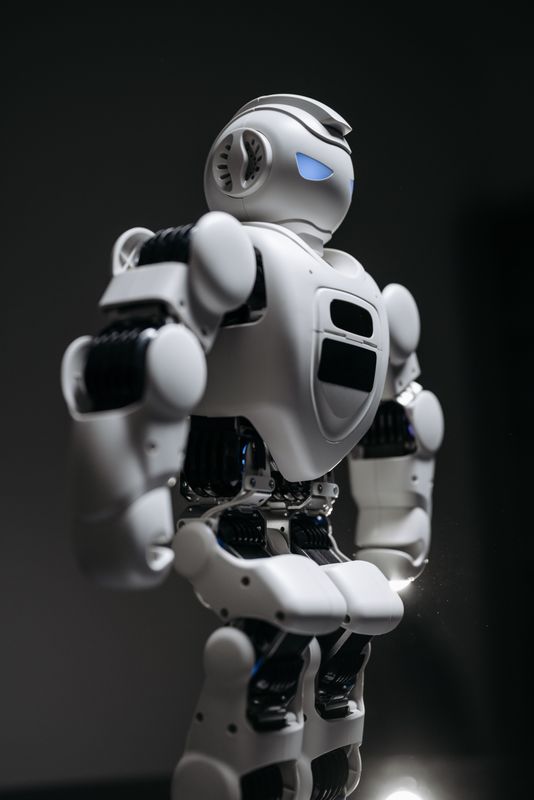 Perplexity Voice: The AI Search Engine You Talk To - product photo and review on GOTOSHARP