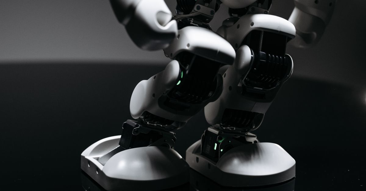 🤖 일본의 로봇 혁명, 인형 같은 로봇 전시회가 열린다! 🎉 🤖 일본의 로봇 혁명, 인형 같은 로봇 전시회가 열린다! 🎉