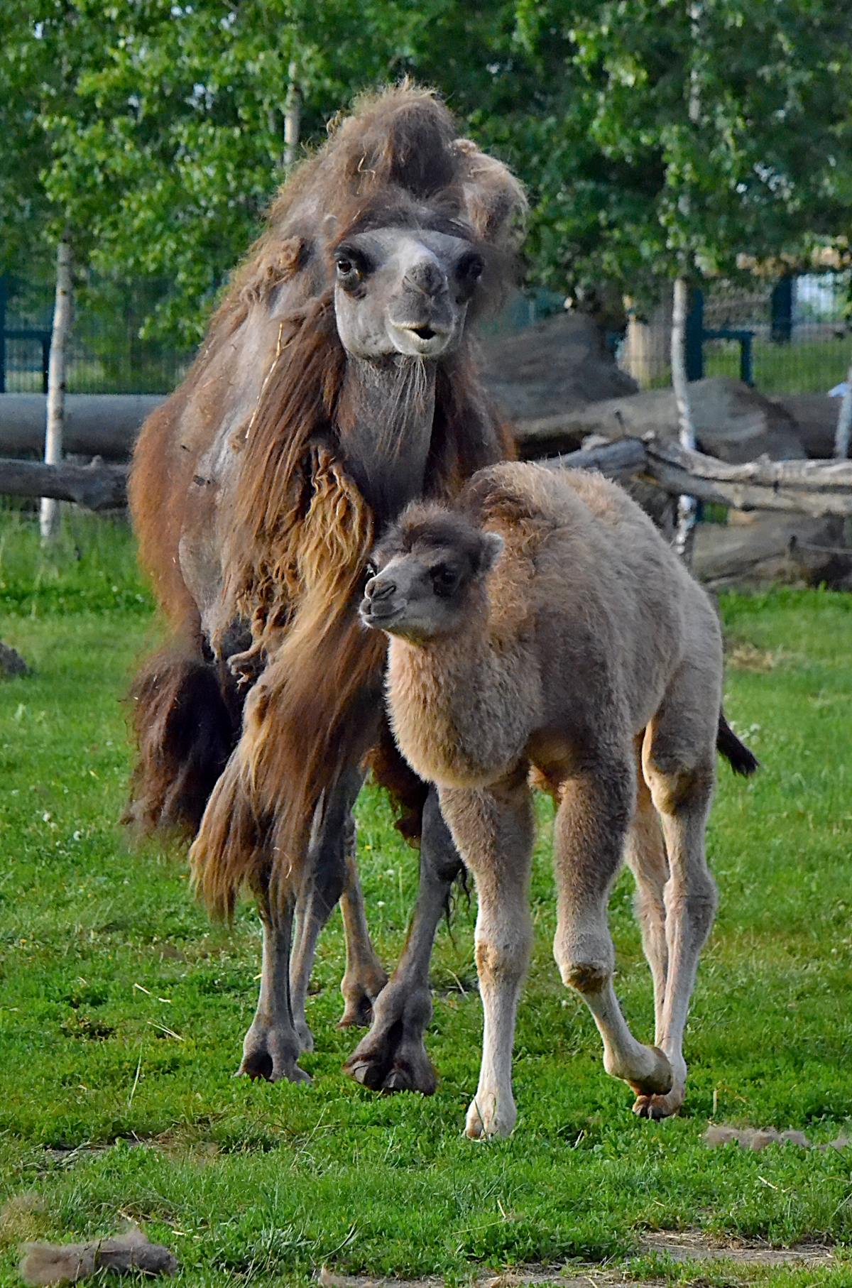 Why Speaking Up Is Rare