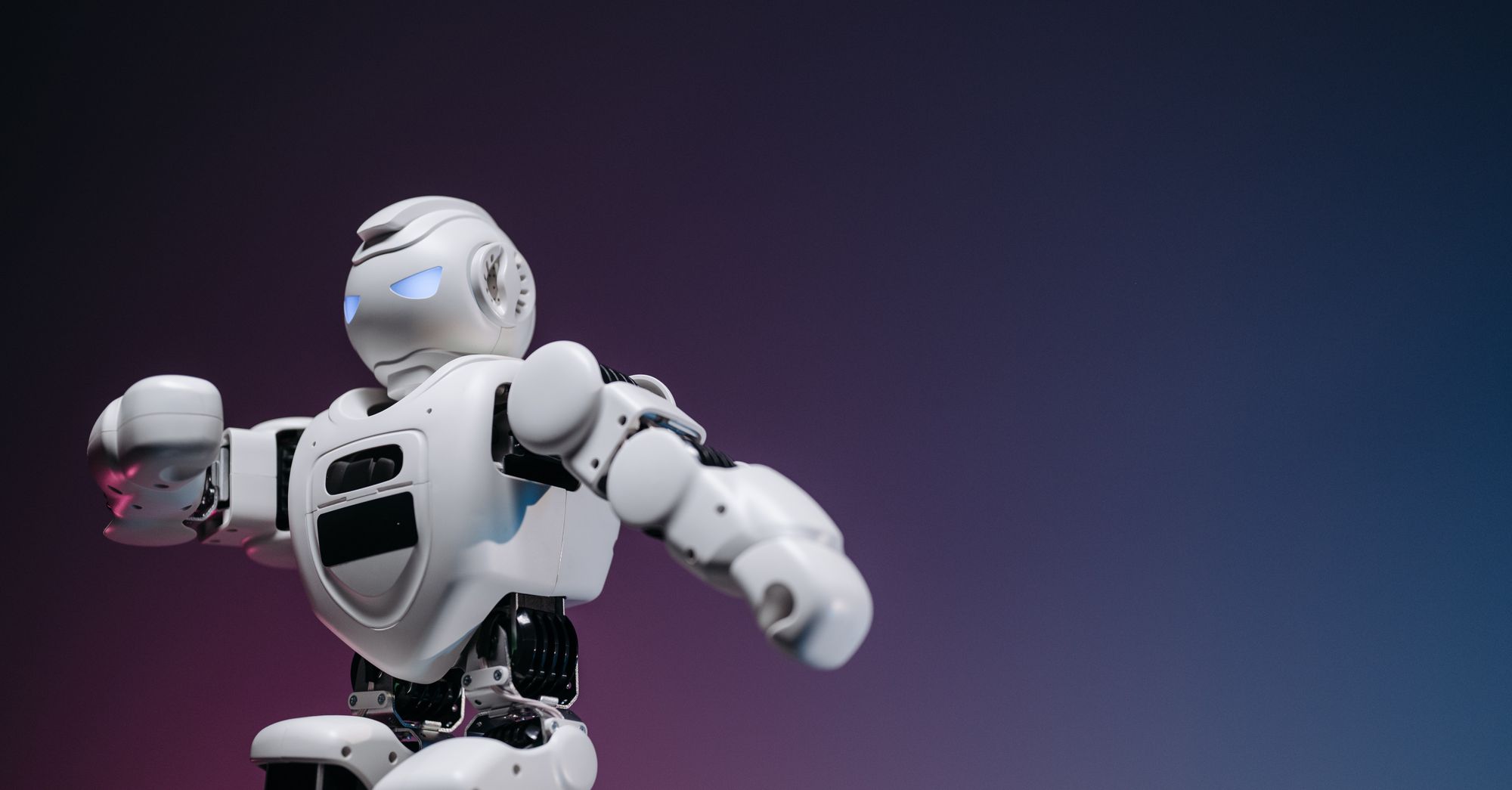 Rogue Studios Enters Adult AI Video at the Premium Tier—With Little Proof