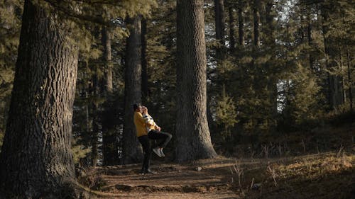 Bezpłatne Darmowe zdjęcie z galerii z fotografia przyrodnicza, las, na stojąco Zdjęcie z galerii