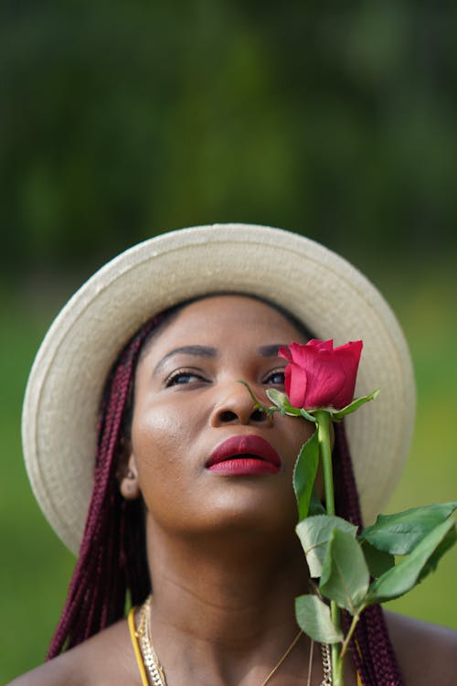 Free A Woman Holding a Rose Flower Stock Photo
