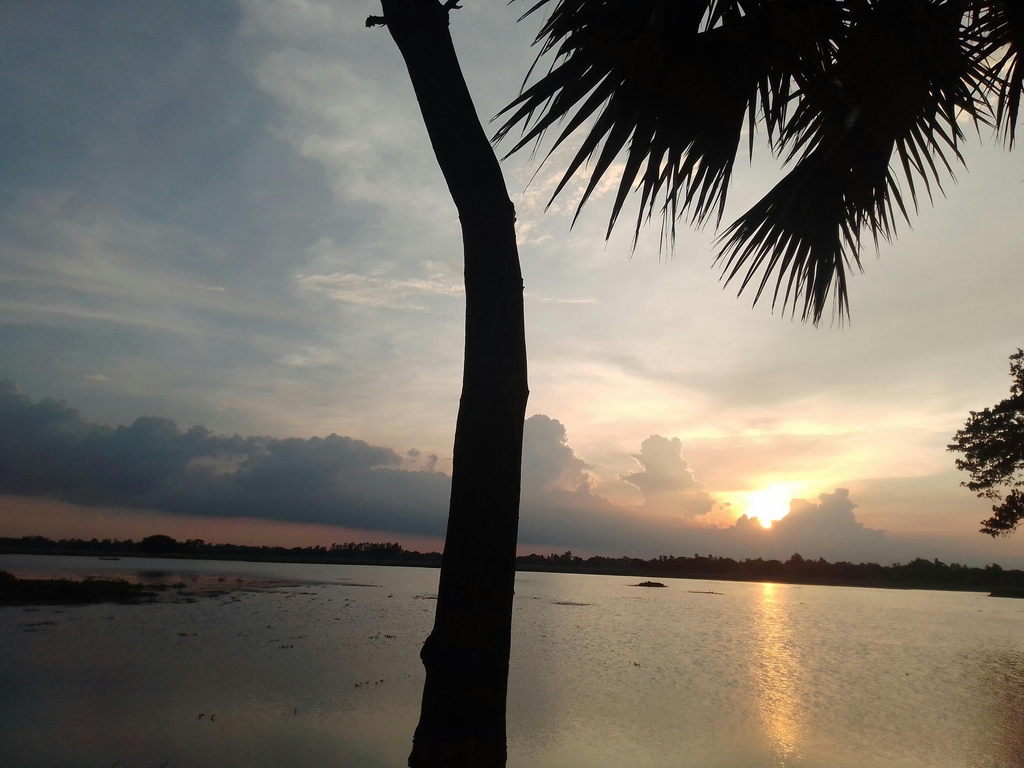 Profit analytics dashboard with dynamic pricing insights