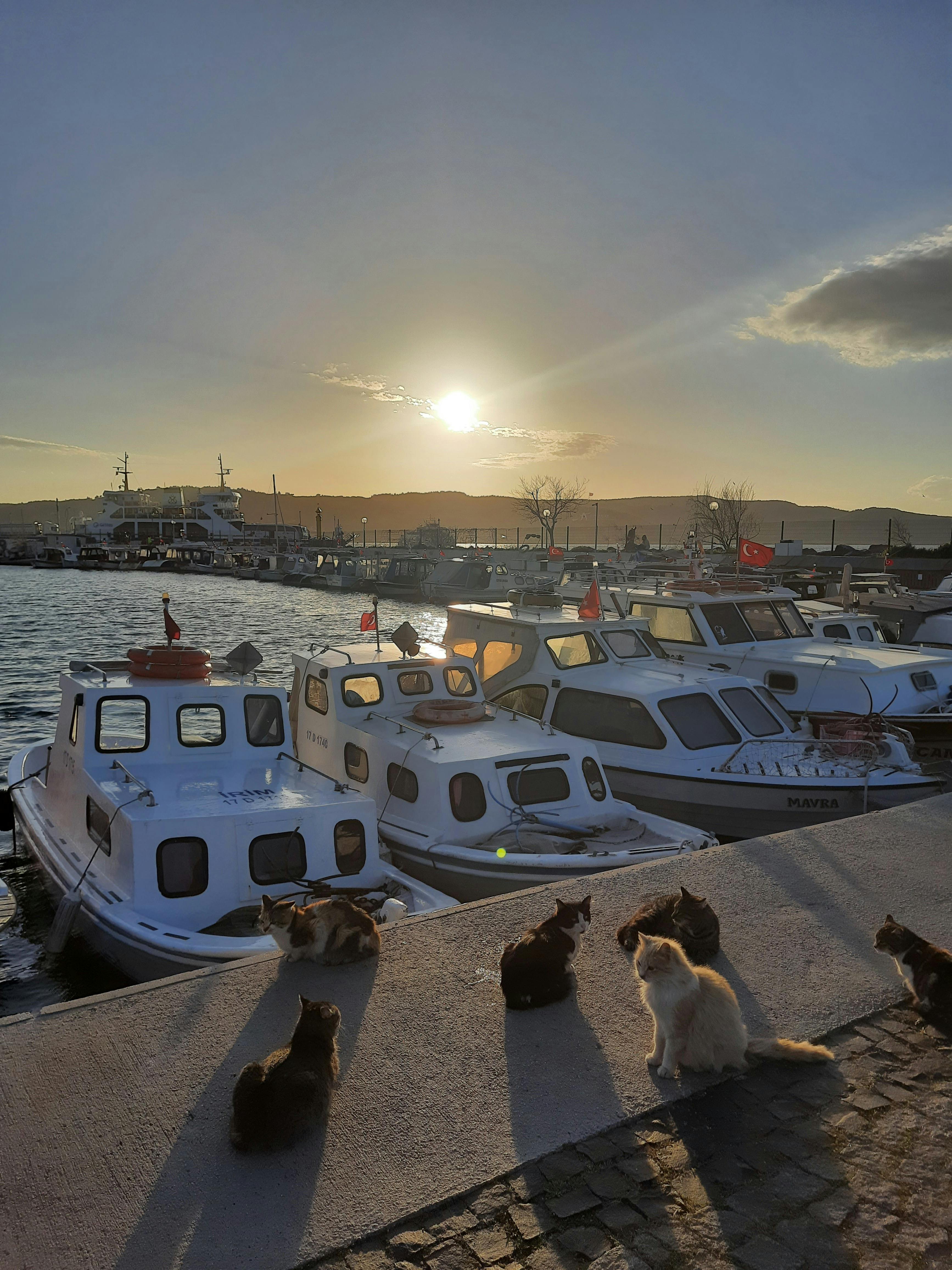 Automatic payment setup on a banking app