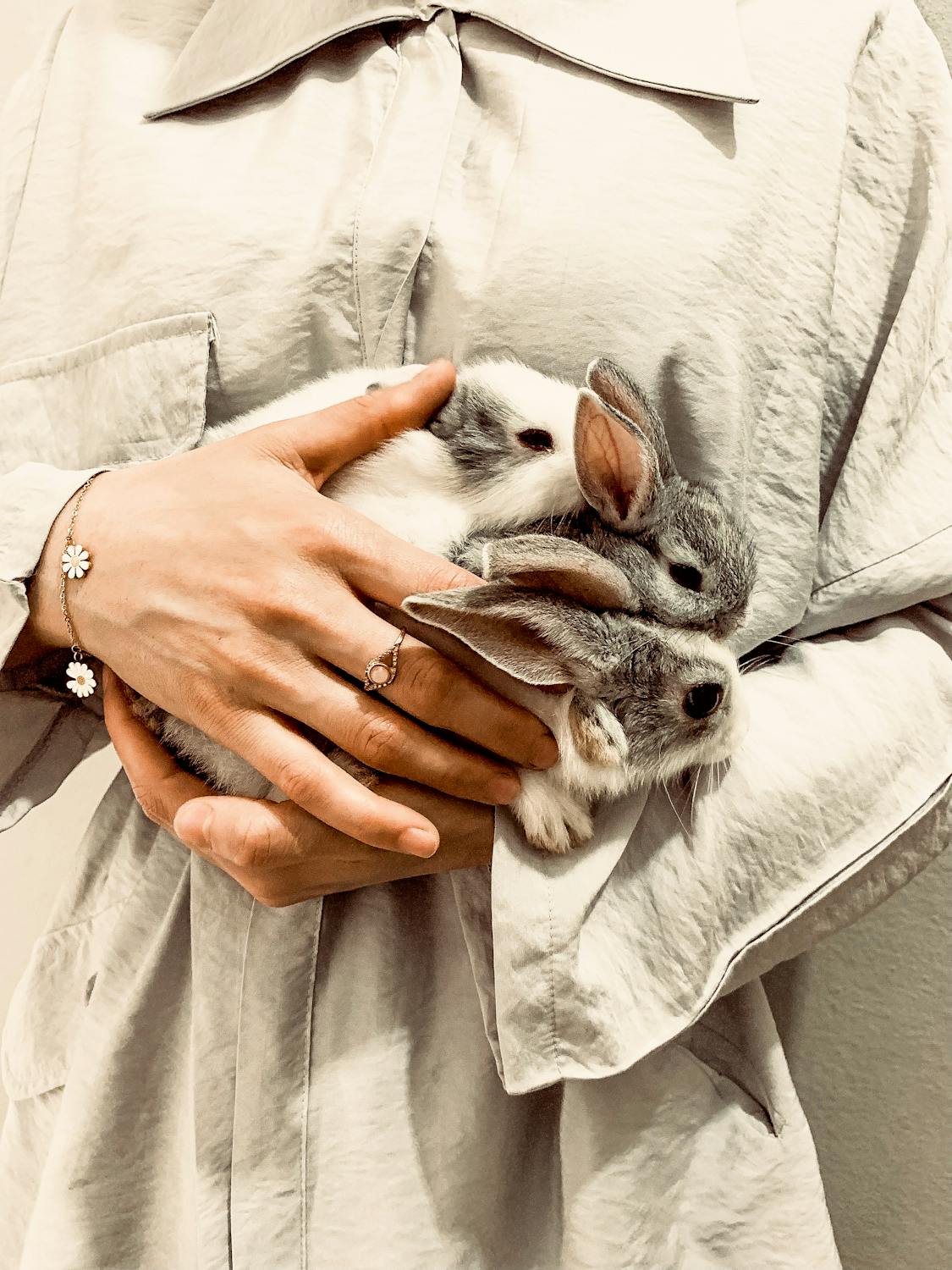 Averion Incorporation