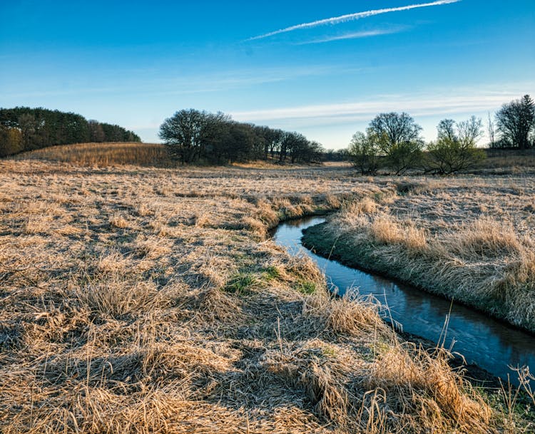 A Narrow Waterway On Grass Field